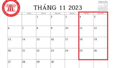 Lịch tháng 11 năm 2023