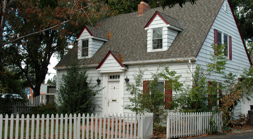 Tree Busters of Cape Cod