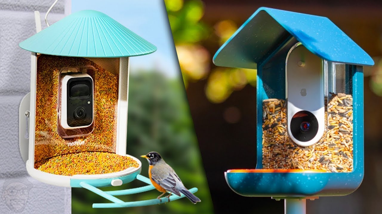 Bird Feeder Cameras