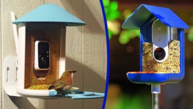 Bird Feeder Camera